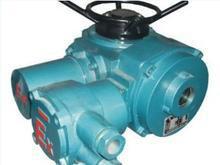 防爆型Z型電裝圖片/防爆型Z型電裝樣板圖 (2)