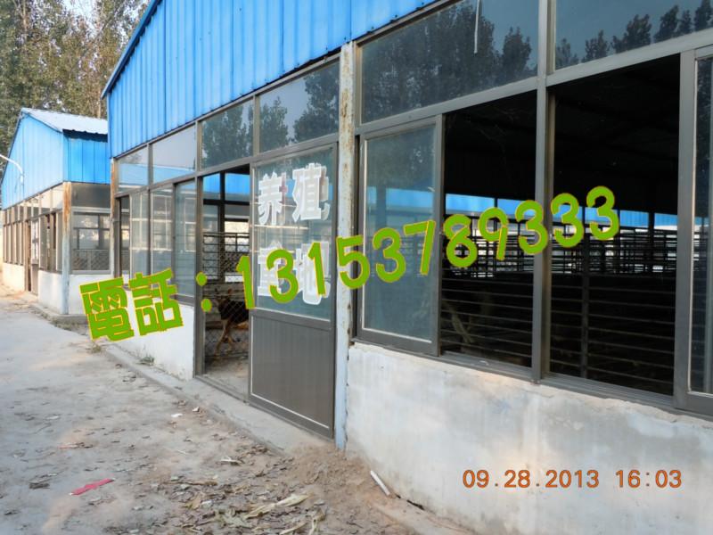 供應(yīng)河北*養(yǎng)殖基地河北*場