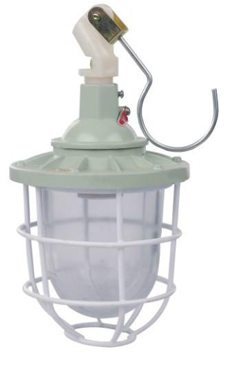 供應(yīng)DCG51系列防爆手提燈 防爆燈