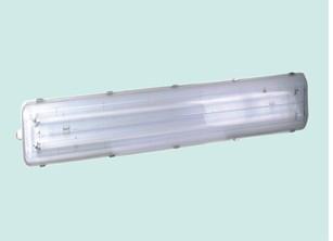 供應(yīng)DYSF系列防水防塵防腐全塑熒光