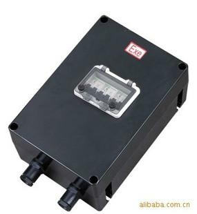 供應(yīng)BDZ8030防爆防腐斷路器
