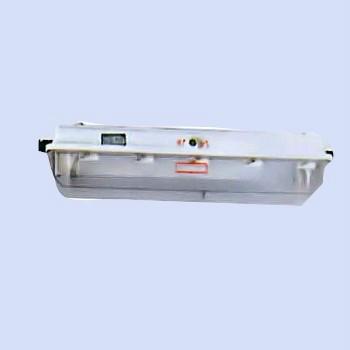 供應(yīng)DYSF系列防水防塵防腐全塑熒光