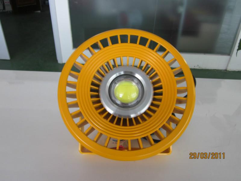 DED-81防爆LED燈泛光燈圖片