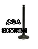 供應(yīng)珀金斯perins配件氣門