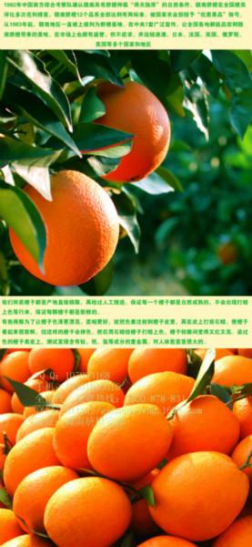供應(yīng)贛南臍橙價格，贛南臍橙報價，贛南臍橙供應(yīng)商 贛南臍橙價格 贛南臍橙批發(fā)