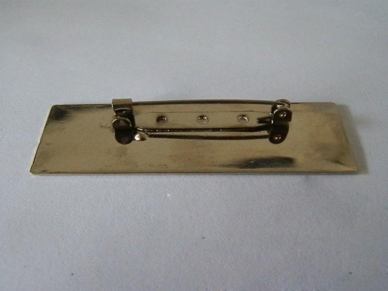 西安胸牌圖片/西安胸牌樣板圖 (4)