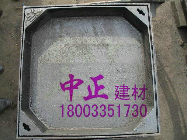 供應錦州葫蘆島隱形井蓋球墨鑄鐵井蓋水箅水溝蓋板