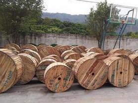 供應(yīng)專業(yè)回收室內(nèi)外皮線光纜