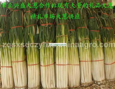 供應(yīng)大蔥
