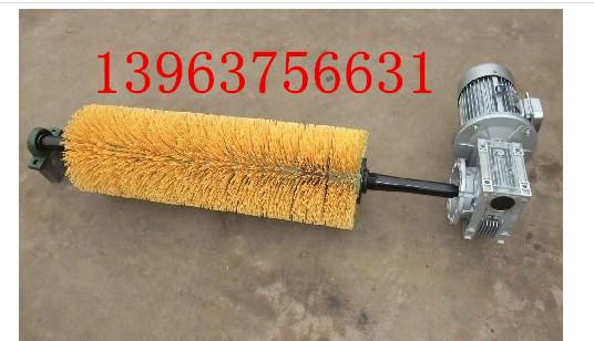 供應(yīng)清掃器毛刷電動(dòng)滾刷式清掃器 量大從優(yōu)