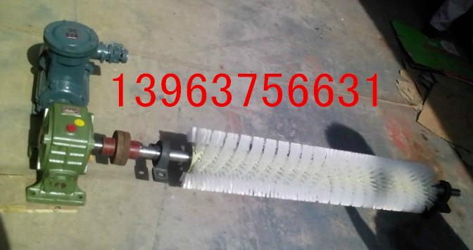 供應(yīng)毛刷清掃器 濟(jì)寧安源清掃器 現(xiàn)貨清掃器