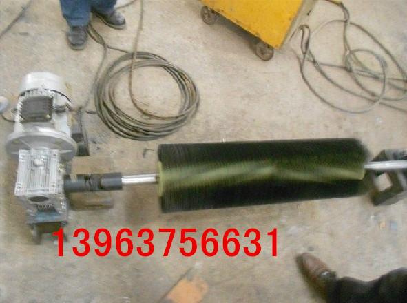 供應(yīng)毛刷清掃器煤礦清掃器