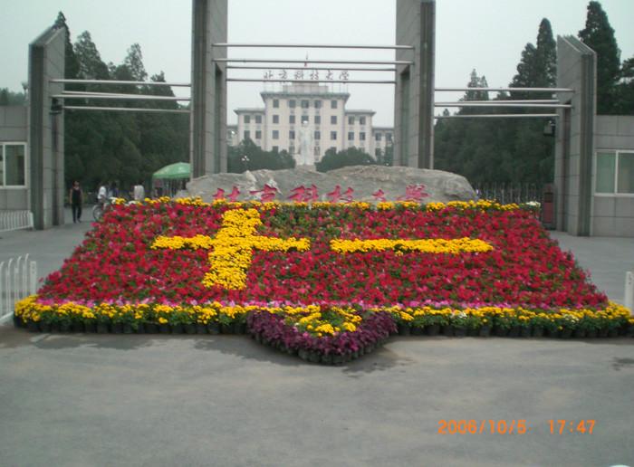 国贸绿植租赁图片