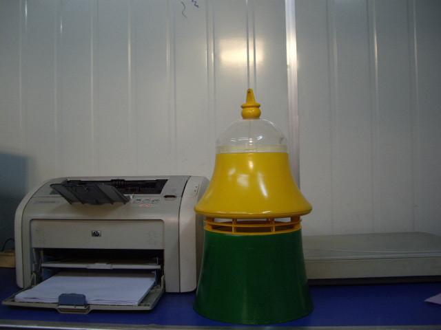 蒼蠅* 蒼蠅*廠家供貨