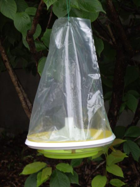 環(huán)保捕蠅裝置捕蠅器批發(fā)圖片