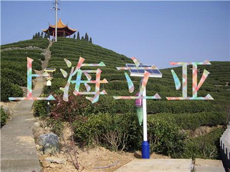 供應(yīng)捕蟲燈/上海捕蟲燈/批發(fā)捕蟲燈