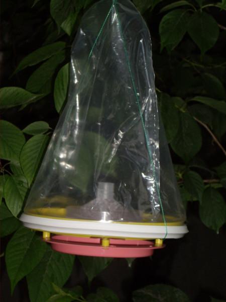 供應(yīng)捕蠅器/上海捕蠅器/上海捕蠅器廠家