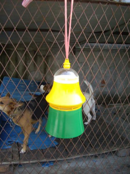 殺蟲燈/籠式殺蟲燈/上海殺蟲燈圖片