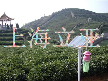 低壓捕蟲燈/安全捕蟲燈/環(huán)保捕蟲燈圖片