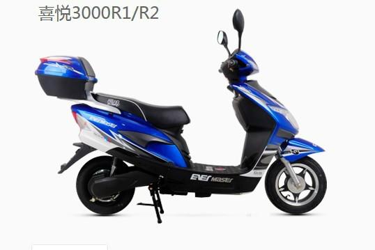 爱玛喜悦3000R1/R2图片