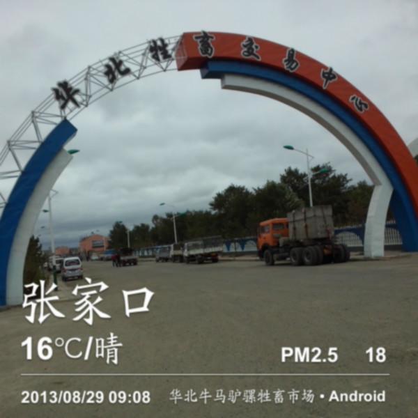 供應(yīng)牲畜交易市場，華北牲畜交易市場，東北牲畜交易市場