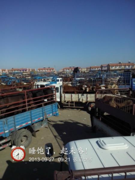 供應(yīng)牲畜交易市場，華北牲畜交易市場，東北牲畜交易市場