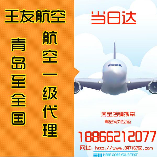 青島空運(yùn)寵物空運(yùn)貨代空運(yùn)狗狗圖片