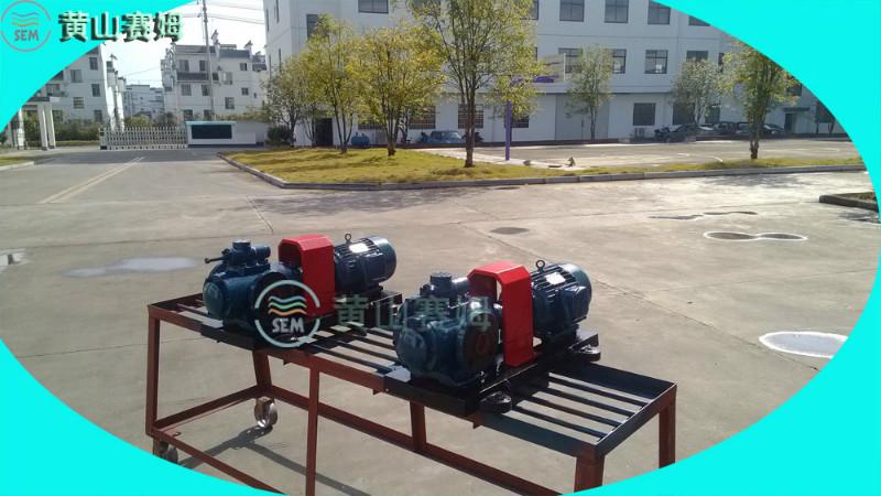 供應(yīng)水電站水輪機潤滑油泵HSNH660-46