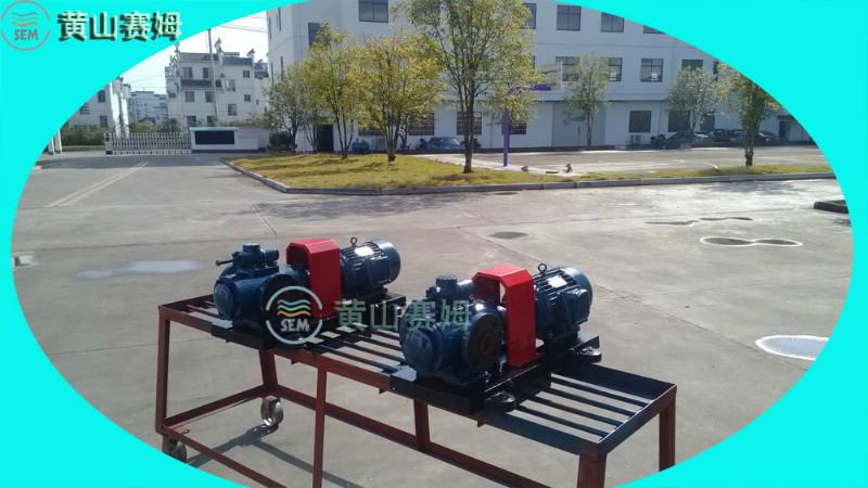 螺桿泵圖片/螺桿泵樣板圖 (3)