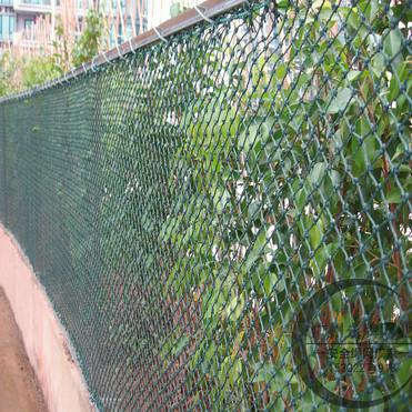 供應(yīng)防護(hù)網(wǎng)尼龍防護(hù)網(wǎng)批發(fā)價格塑料防護(hù)網(wǎng)兒童防護(hù)網(wǎng)生產(chǎn)廠家