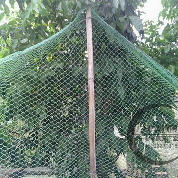 供應(yīng)養(yǎng)殖網(wǎng)養(yǎng)殖場圍網(wǎng)批發(fā)價格養(yǎng)雞養(yǎng)鴨防護網(wǎng)養(yǎng)*網(wǎng)生產(chǎn)廠家