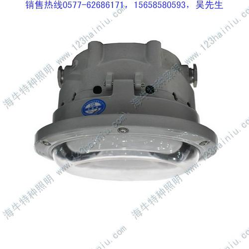 批發(fā)長壽頂燈NFC9176圖片