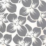 鏡面蝕刻板圖片/鏡面蝕刻板樣板圖 (2)