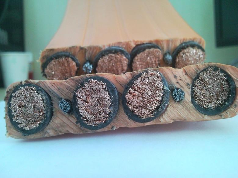 YFFB行車電纜價格行車扁電纜圖片/YFFB行車電纜價格行車扁電纜樣板圖 (3)