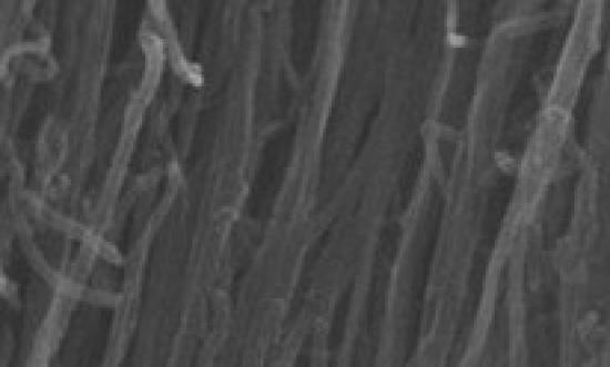 供應(yīng)氧化鋁超細(xì)化研磨設(shè)備廠家深圳市科力納米工程設(shè)備有限公司