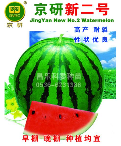 供應(yīng)華欣1華欣2京研新2號京欣2號西瓜種