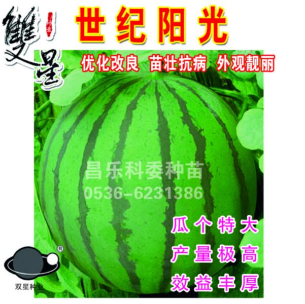 供應(yīng)京研新2號華欣1號華欣2京欣2號