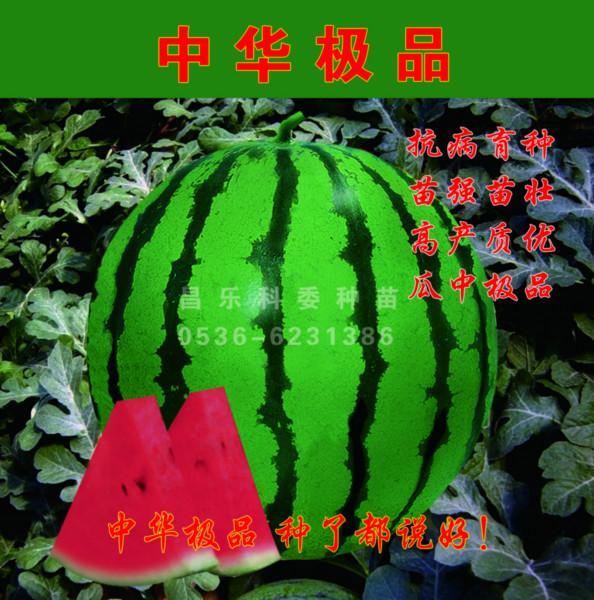 供應(yīng)京研新2號(hào)華欣2號(hào)京欣2號(hào)