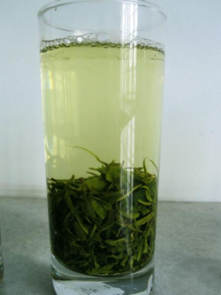 綠茶 高山云霧茶 有機(jī)綠茶 25克*20小袋 云霧毛尖茶