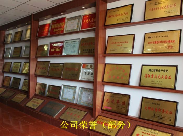 曾侯銀劍茶 隨州芽茶2018新茶 有機綠茶