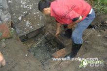 桐廬圖片/桐廬樣板圖 (2)