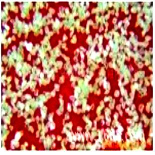 供應(yīng)柘城超硬材料