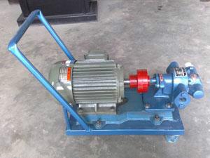 河北移動式齒輪泵泊頭瑞達泵業(yè)圖片
