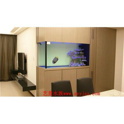 供應(yīng)大型水族工程價格面議或電議