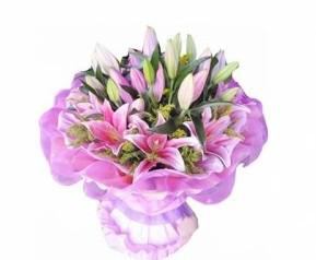 供應(yīng)上海機場石蓮花商檢報關(guān)代理公司