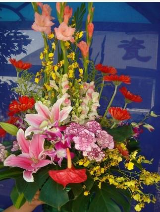 荷蘭到上海 鮮花進(jìn)口代理報關(guān)公司，上海報關(guān)行