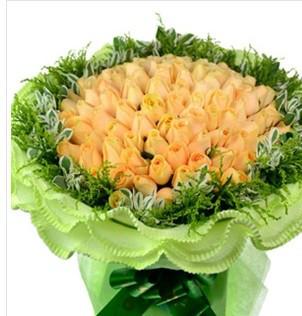 上海鮮花進口報關(guān)代理進口物流公司圖片