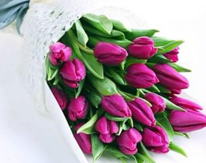 供應(yīng)西伯利亞鮮花上海報(bào)關(guān)代理