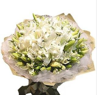 供應(yīng)上海機場石蓮花商檢報關(guān)代理公司