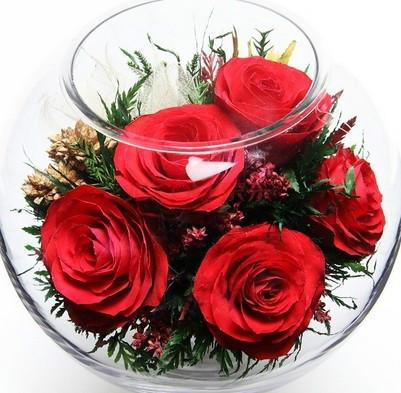 供應(yīng)鮮花進(jìn)口報關(guān)上海報關(guān)公司